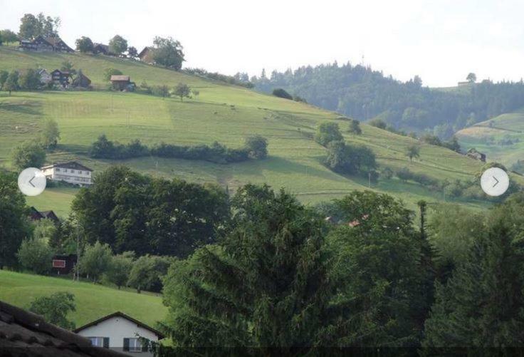 Rheintal-zimmer * Altstatten